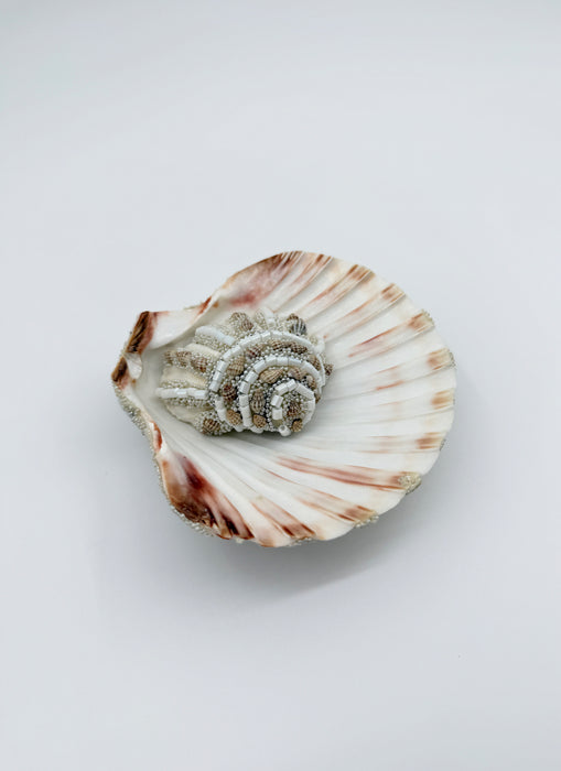 1 Shell Shell Table Accent