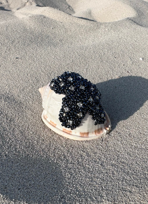 1 Nautirex Conch Shell Table Accent